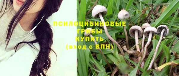 дживик Алзамай