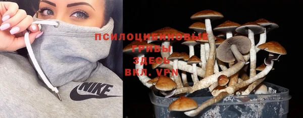 дживик Алзамай