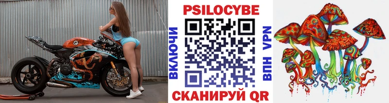 Псилоцибиновые грибы Cubensis  закладки  Нижний Новгород 
