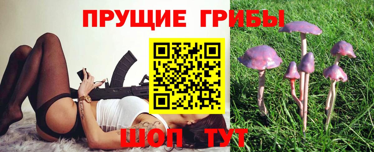 Галлюциногенные грибы GOLDEN TEACHER Нижний Новгород